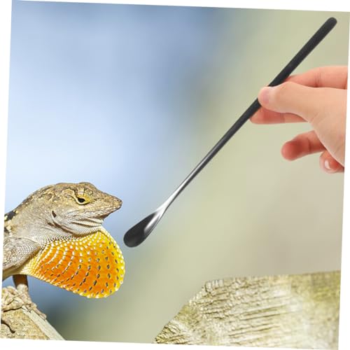 Toddmomy 3pcs Reptile Food Spoon Lizard Feeding Spoon for Wet Food Reptile Dish Tool Pet Supply