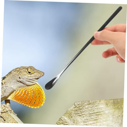 Toddmomy 3pcs Reptile Food Spoon Lizard Feeding Spoon for Wet Food Reptile Dish Tool Pet Supply
