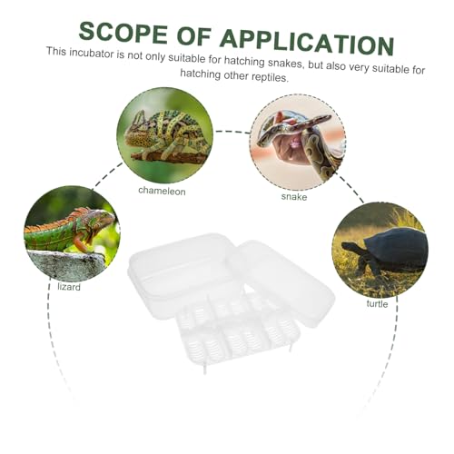 SUPVOX Transparent Plastic Breeding Box for Hatching Snakes Lizards and Turtles Sturdy Easy to Clean Hatching Tray for Reptile Enthusiasts