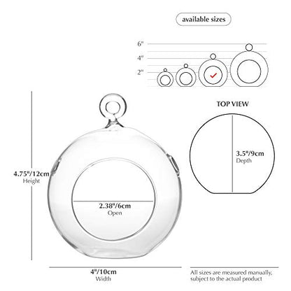 WGV Hanging Terrarium Globe, Width 4", Height 4.75", DIY Air Succulent Planter, Clear Glass Vase Orb with Flat Bottom, Candle Holder for Windowsill Outdoor Garden Decor, 3 Pieces Bulk - size: 4"
