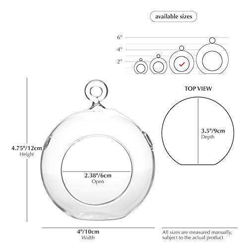 WGV Hanging Terrarium Globe, Width 4", Height 4.75", DIY Air Succulent Planter, Clear Glass Vase Orb with Flat Bottom, Candle Holder for Windowsill Outdoor Garden Decor, 24 Pieces Bulk - size: 4" Flat Bottom