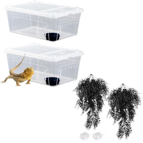 Hamiledyi 2PCS Reptile Feeding Box Snake Breeding Box Transparent Animal Habitat Cage and Reptile Plants Fake Amphibian Plants 2 Pcs Artificial Leaves for Snake, Lizard, Chameleon