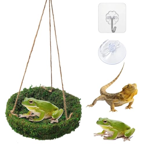 Frog Reptiles Cave Hide, Green Lizard Hideout with Safe Shelter