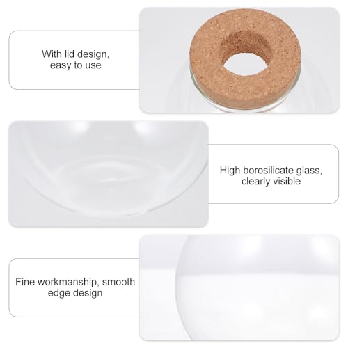 Glass Ecological Bottle with Lid for Fish Keeping and Moss Micro Landscaping Terrarium Home Decorative Glass Container for Small Aquatic Plants and DIY Ecosystems