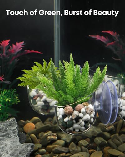 Pawfly Aquarium Plant Holder with Suction Cup, Clear Plastic Fish Tank Planting Holder, Fish Tank Plant Pot for Aquascape Decoration, Aquarium Planter Cup, 4 Pcs. - size: 4 Pack