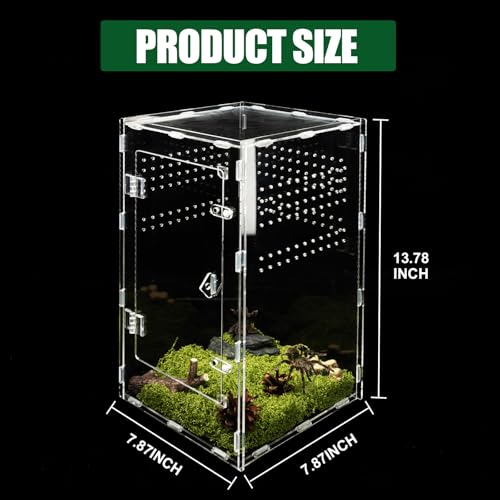 Acrylic Jumping Spider Enclosure, Transparent Reptile Terrarium Enclosure, Small Reptiles Habitat Tank Breeding Box for Tarantula Insect Snake Lizard (13.78 Large) - color: 7.87×7.87×13.78