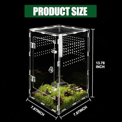 Acrylic Jumping Spider Enclosure, Transparent Reptile Terrarium Enclosure, Small Reptiles Habitat Tank Breeding Box for Tarantula Insect Snake Lizard (13.78 Large) - color: 7.87×7.87×13.78