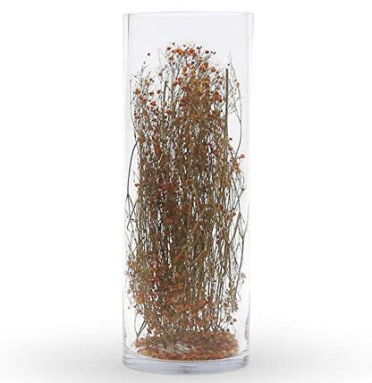 WGV Cylinder Vase, Width 6", Height 14", Clear Glass Container Terrarium Candle Holder for Wedding Centerpiece, Party Event, Home Office Decor, 1 Piece - size: 6"x14"H