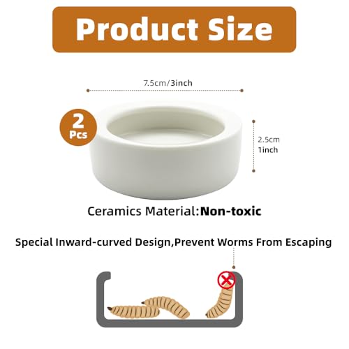 Escape-Proof Reptile Food Dish Bowl, Ceramic Reptile Feeding Dish & Small Animal Bowl for Lizard, Leopard Gecko, Hermit Crab, Hamster, Anti Escape Live Food & Water Dish (3x1in) 2PCS