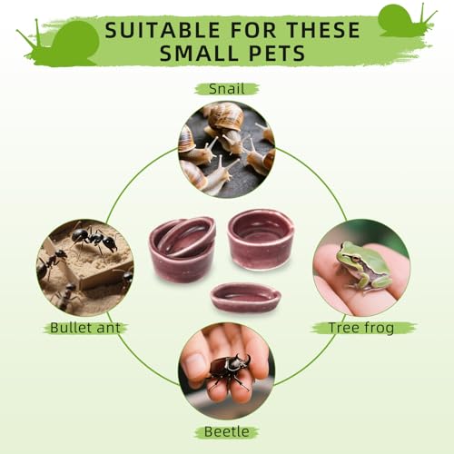 4 Pack Snails Feeding Dish Set for Land Snails, Snail Food and Water Bowl - Calcium Food Bowl & Water Tray, Mini Pet Supplies, Durable Snail Tiny Pet Dishes