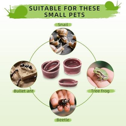 4 Pack Snails Feeding Dish Set for Land Snails, Snail Food and Water Bowl - Calcium Food Bowl & Water Tray, Mini Pet Supplies, Durable Snail Tiny Pet Dishes