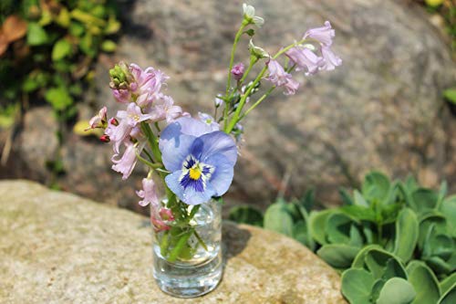 WGVI Quality Thick Weighted Clear Cylinder Glass Vases, 4" W x 6" H, Flower Arrangement Glass Candle Holders Wedding Centerpieces Terrarium Planter Floral Storage Container Pen Brush Holder, 1 Piece - size: 4"x6"H