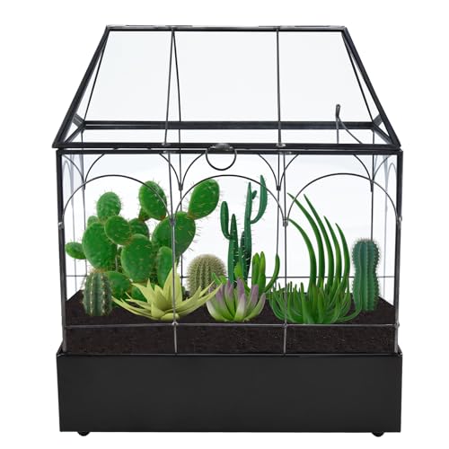 Glass Terrarium with Metal Tray, Glass Greenhouse Terrarium Kit for Succulents, Cacti, Snails, Spiders, and Miniature Reptiles, Black (Large-9.45" L x 5.7" W x 11.8" H) - size: Large-9.45"L x 5.7"W x 11.8"H