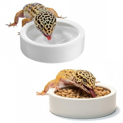Escape-Proof Reptile Food Dish Bowl, Ceramic Reptile Feeding Dish & Small Animal Bowl for Lizard, Leopard Gecko, Hermit Crab, Hamster, Anti Escape Live Food & Water Dish (3x1in) 2PCS
