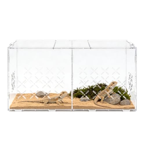 Reptile PC Terrarium, Double Room Tarantula Enclosure,Spider Tank Starter Kit,Leopard Gecko Container,Hermit Crab Habitat,Lizard housing,Jumping Spider Cage,Small Bearded Dragon Vivarium
