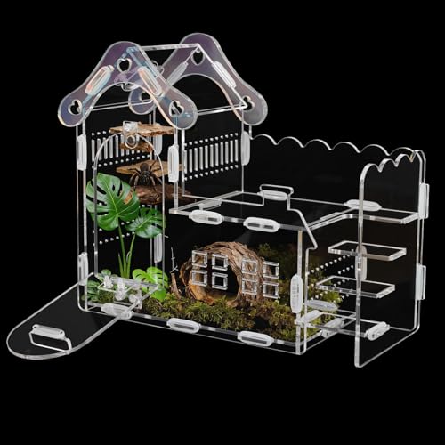 Magnetic Acrylic Jumping Spider Enclosure with Mushroom House, Easy-Feed Hole & Front Opening – Terrarium for Tarantula, Mantis, Beetle, Gecko, Hermit Crab, Reptile Habitat - color: Transparent color