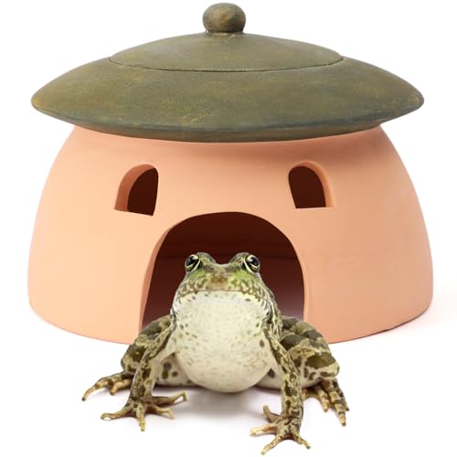 Frog and Toad House 8 x 6Inch Toad House for Outside Garden Reptile Cave Red Pottery Ceramics Small Reptile Cave Hide Reptile Hides and Caves Snake Toad Frog Turtle House Green with Lid