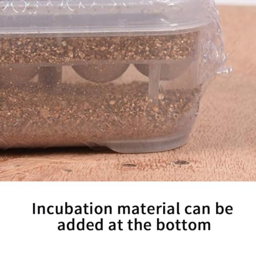 Reptile Incubation Box Reptile Incubator Egg Tray Hatching Box with 12 Grids for Turtle Gecko Lizards Mane Reptile Egg Incubators