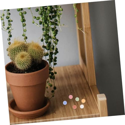 BESPORTBLE Decorative Plant Pebbles Hydroponic Clay Pebbles for Succulent Potting Aesthetic Drainage for Indoor Gardening