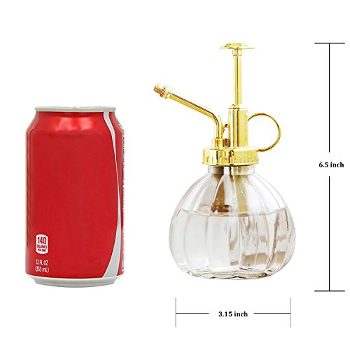 Plant Mister, 6.5" Tall Decorative Glass Water Spray Bottle with Gold Top Pump Small Watering Can by Ebristar - Clear - color: Clear+Gold N