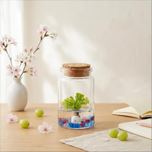 Sundew Terrarium - 100% Self Sustaining Drosera spatulata in Maintenance Free Glass Jar with Unique Terra Gel, Fast and Healthy Plant Growth for Kids and Adults