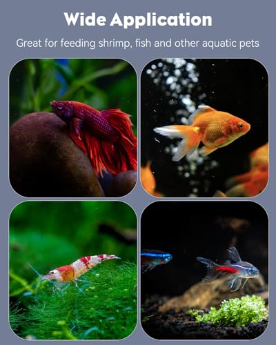 Pawfly Shrimp Feeding Dish with Suction Cup, Clear Acrylic Aquarium Shrimp Feeder Dish, Fish Feeding Tray for Freshwater and Saltwater Tanks