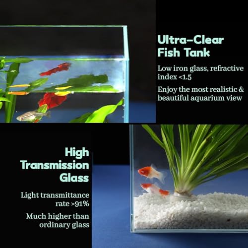LAQUAL 6.5 Gallon Ultra Clear Glass Fish Tank, Rimless Low Iron Aquarium for Betta/Nano/Goldfish/Snail/Shrimp, Fish Tank & Cover Set & Feeding Ring & Cleaning Tools - color: 6.5 Gal