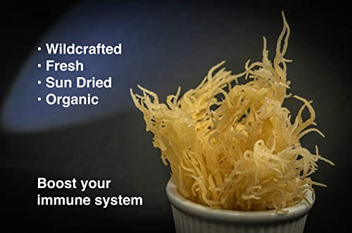 Karibbean Flavour Dried Sea Moss (Pack of 5) x 3Oz/85g) | Caribbean Superfood - Wildcrafted Seedstock - Ethically Harvested - Makes Over 10 Quarts Gel - size: 3 Ounce (Pack of 5)
