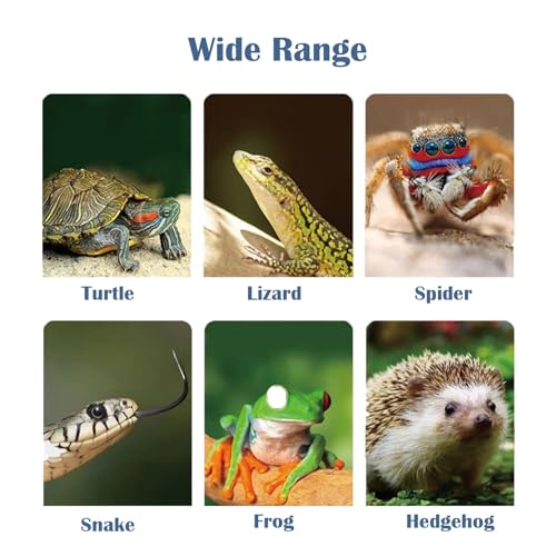 Heat lamp for reptiles，UVA UVB Turtle Heating Lamp with Two Heat Bulbs, Turtle Basking Light with 360° Rotatable Hose & Clamp & Adjustable Switch for Bearded Dragon Reptiles Turtle Lizard Snake - style: Reptile Heat Lamp