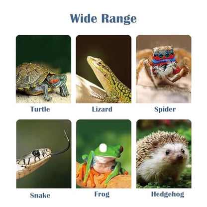 Heat lamp for reptiles，UVA UVB Turtle Heating Lamp with Two Heat Bulbs, Turtle Basking Light with 360° Rotatable Hose & Clamp & Adjustable Switch for Bearded Dragon Reptiles Turtle Lizard Snake - style: Reptile Heat Lamp