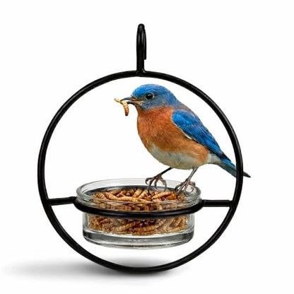 Hummble Hanging Glass Bluebird Mealworm Feeder for Wild Birds, High Protein Feeder for Bluebirds, Decorative Outdoor Feeder, Easy Fill and Clean 3.4 oz