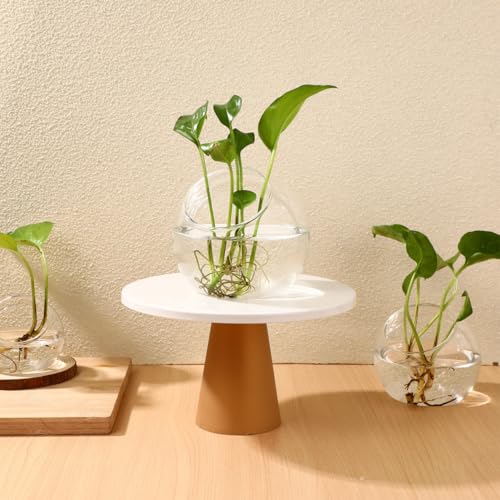 Mipcase 3 Pack Slanted Glass Terrarium Set - Clear Bubble Planter Globe for Air Plants, Succulents, & Moss - Miniature Desktop Decor for Home & Office, DIY Indoor Garden Propagation Station (3 Sizes) | Clear glass, 3 sizes, hydroponic rooting, air plants