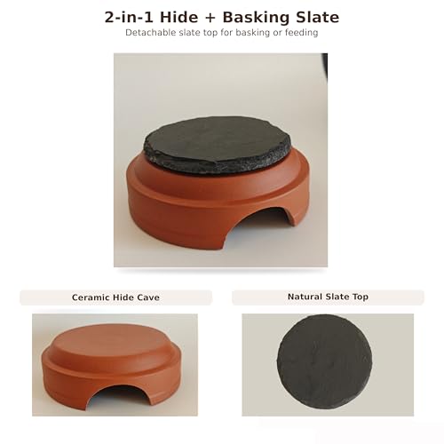Ceramic Reptile Hide with Removable Slate Basking Platform, Humid Hide Cave for Leopard Gecko, Small Lizards, Snakes & Terrariums