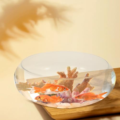 BESPORTBLE Clear Fish Bowl Vase Bubble Bowl Wide Mouth Flower Vase Round Shallow Planter Terrarium Aquatic Plant Pot Daffodil Pot Hydroponic Planter Fish Tank Bowl - size: 25.00X25.00X10.00CM