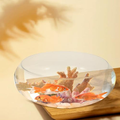 BESPORTBLE Clear Fish Bowl Vase Bubble Bowl Wide Mouth Flower Vase Round Shallow Planter Terrarium Aquatic Plant Pot Daffodil Pot Hydroponic Planter Fish Tank Bowl - size: 25.00X25.00X10.00CM