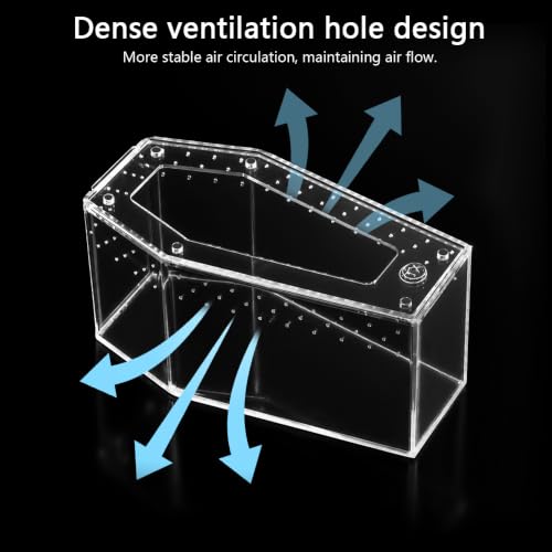 Installation-Free Acrylic Coffin Jumping Spider Enclosure - Gothic Terrarium Habitat with Magnetic Lid, Micro Reptile Breeding Box for Slings, Mantis, Isopods and Small Insects - color: transparent