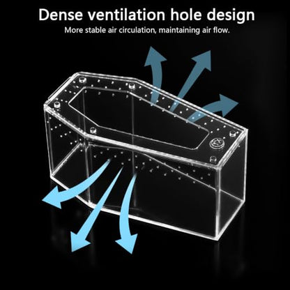 Installation-Free Acrylic Coffin Jumping Spider Enclosure - Gothic Terrarium Habitat with Magnetic Lid, Micro Reptile Breeding Box for Slings, Mantis, Isopods and Small Insects - color: transparent