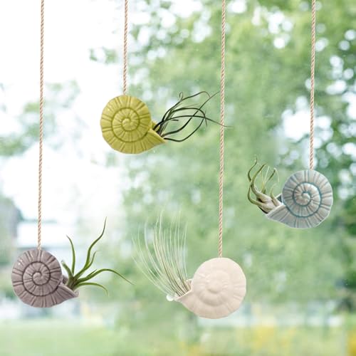 Air Plant Holder Unique, Cute Octopus Air Plant Hanger Wall Planter, Ceramic Tillandsia Airplants Holders Hanging Wall Decor for Home Office (Whelk-Small (2.8 x 2 in),4 pcs/Set) - size: Whelk-Small (2.8 x 2 in)