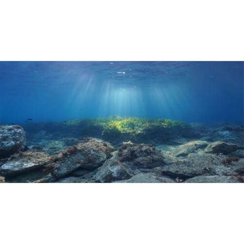 Ocean Floor Fish Tank Backdrop Underwater Stone Aquarium Backdrop 48x18 in | AWERT Vinyl Terrarium Background - size: 48x18in/120x45cm