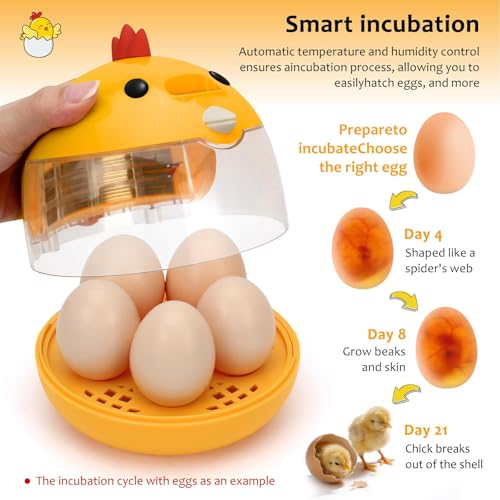 Automatic Egg Incubator for Hatching Eggs with LED Temperature Display, Humidity Control & Egg Turner, Clear Lid Incubator for Chicken, Quail & Bird Eggs (6 Egg Capacity)