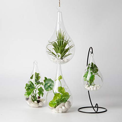 WGV Glass Hanging Plant Terrarium Bulk, Width 3", Height 5.5", Teardrop DIY Air Succulent Planter Clear Tea Light Votive Candle Holder, Wedding Event Office Home Outdoor Decor, 3 Pieces