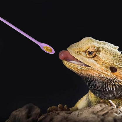 2Pcs Reptile Spoon, Reptile Powder Fruit Mixing Stirring Food Long Handle Feeding Tool Fit Crested Gecko Gargoyle Bearded Dragon