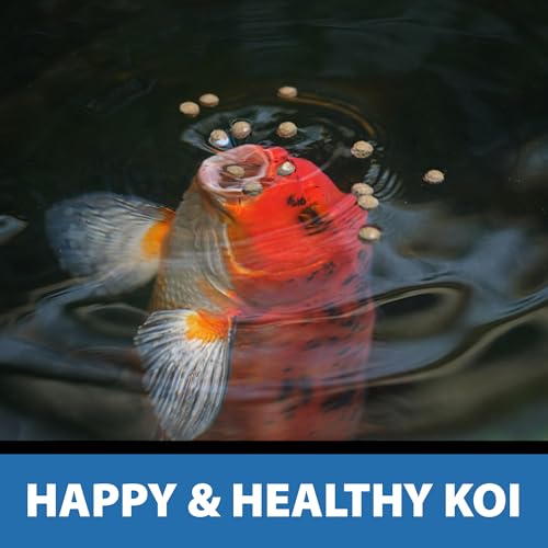 CrystalClear Platinum Fish Food Floating 5mm Pellets, 2.2 Lbs | For Koi & Goldfish, premium nutrition to boost growth, color, and wellness in backyard ponds & water gardens - size: 2.2 Pound (Pack of 1)