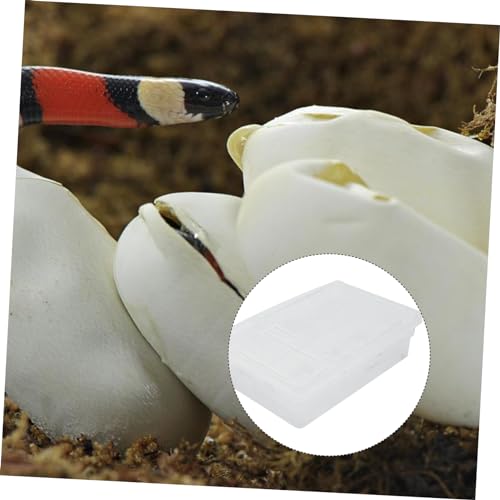 UPKOCH 20grids Practical Hatching Box for Reptile Eggs Design for Easy Monitoring Incubator for Snakes Lizards and Turtles Lightweight and Easy to Clean