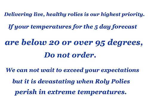 Pocket Pets 30 Dwarf White Isopods and Mixed Springtail Eggs in Living Bioactive Soil Clean Up Crew for Reptile and Amphibian Food Order only if Your 5 Day Forecast Temps are Between 20 and 95