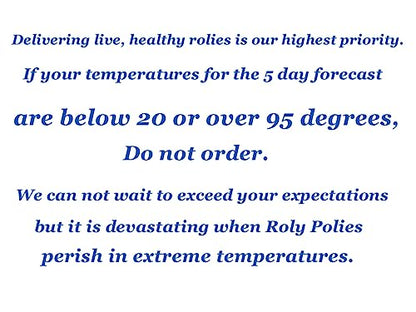 Pocket Pets 30 Dwarf White Isopods and Mixed Springtail Eggs in Living Bioactive Soil Clean Up Crew for Reptile and Amphibian Food Order only if Your 5 Day Forecast Temps are Between 20 and 95