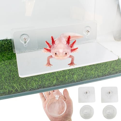 Axolotl Hammock Ledge for Aquarium and Feeding Dish with Suction Cup, 2-in-1 Axolotl Tank Accessories Set, Axolotls Transparent Acrylic Shelf Perch Hammock with Adhesive Pads, Aquarium Decor