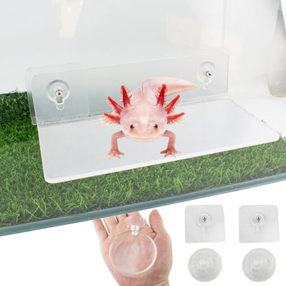 Axolotl Hammock Ledge for Aquarium and Feeding Dish with Suction Cup, 2-in-1 Axolotl Tank Accessories Set, Axolotls Transparent Acrylic Shelf Perch Hammock with Adhesive Pads, Aquarium Decor