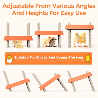 Smart Chick Brooder Heating Plate 10"x10" with Digital Temp Control (95℉-149℉), Stepless Adjustable Height & Anti-Roosting Cone, Mother Hen Chick Heater for Up to 15 Chicks - color: ORG-DSP-10