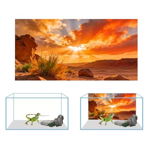 4 Pack Terrarium Background, 36x18 Inch Polyester Reptile Background | Cloth Desert Backgrounds, Gobi Sunshine Stone & Green Fern Rock Terrarium Background